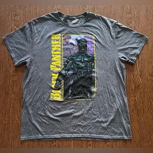 Marvel Black Panther Men's T-Shirt Large Dark Gray Black Panther in The City XXl
